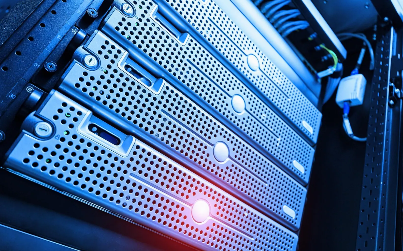 Internet, information and service